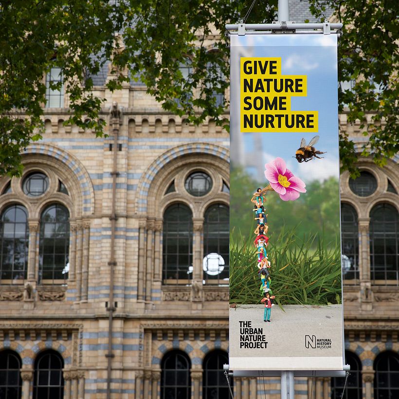 El Proyecto Naturaleza Urbana 8