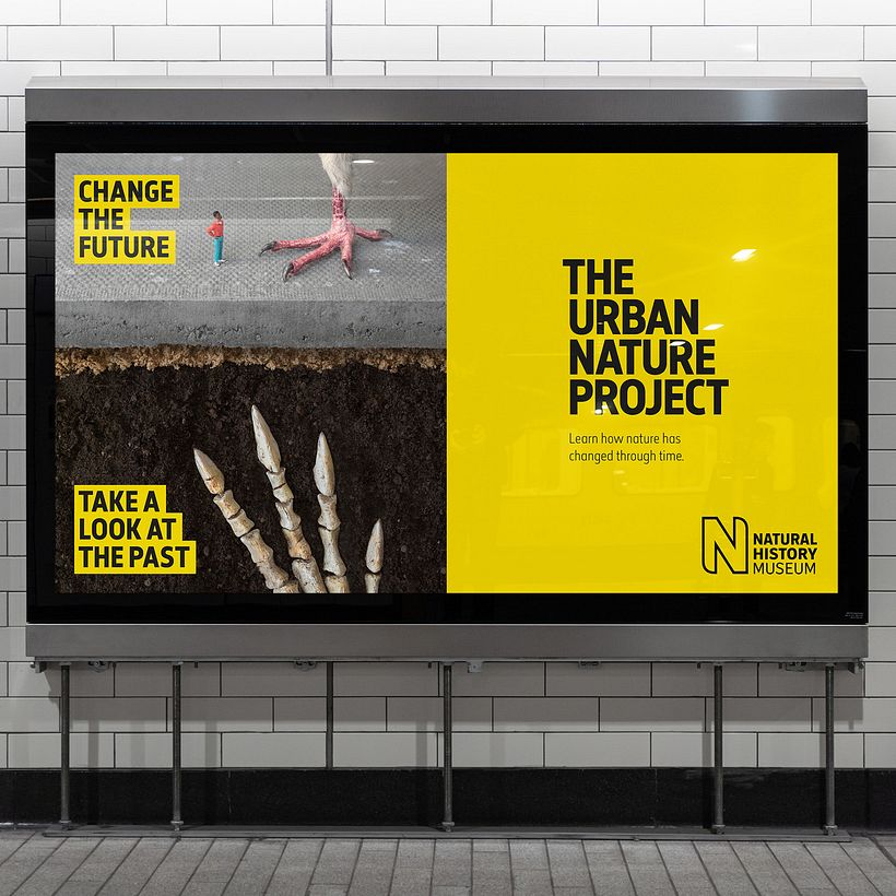 El Proyecto Naturaleza Urbana 9