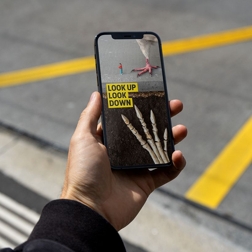 El Proyecto Naturaleza Urbana 10