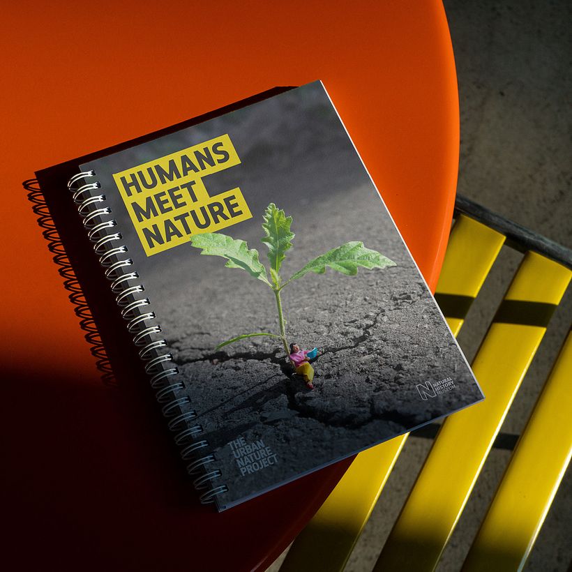 El Proyecto Naturaleza Urbana 11