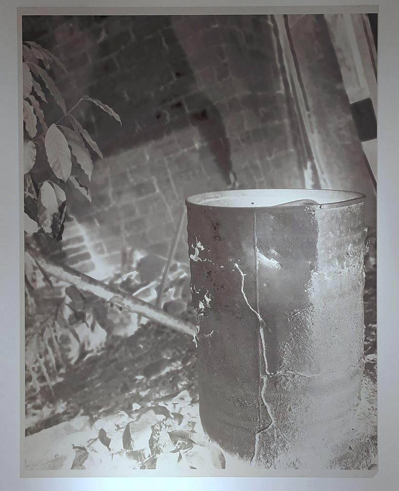 Negativo Digital para Goma Bicromatada Monocromo