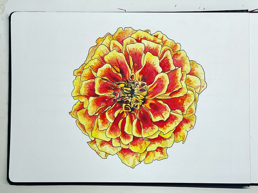 My project in Botanical Sketchbooking: A Meditative Approach course 2