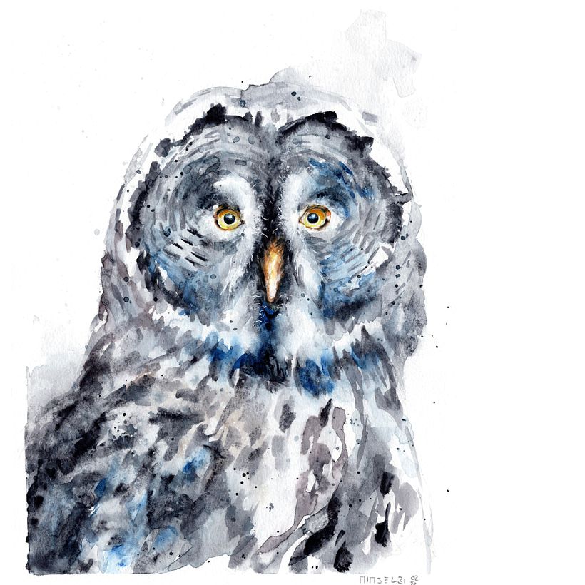 Bartkauz_great gray owl