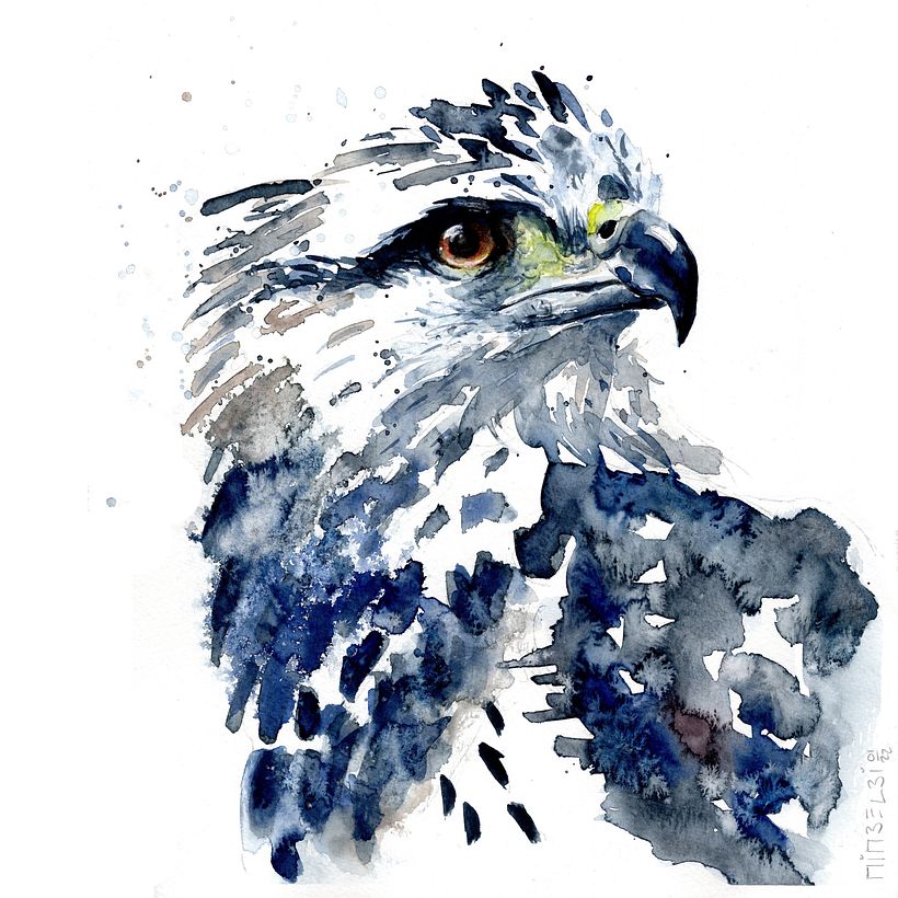 Adler_eagle