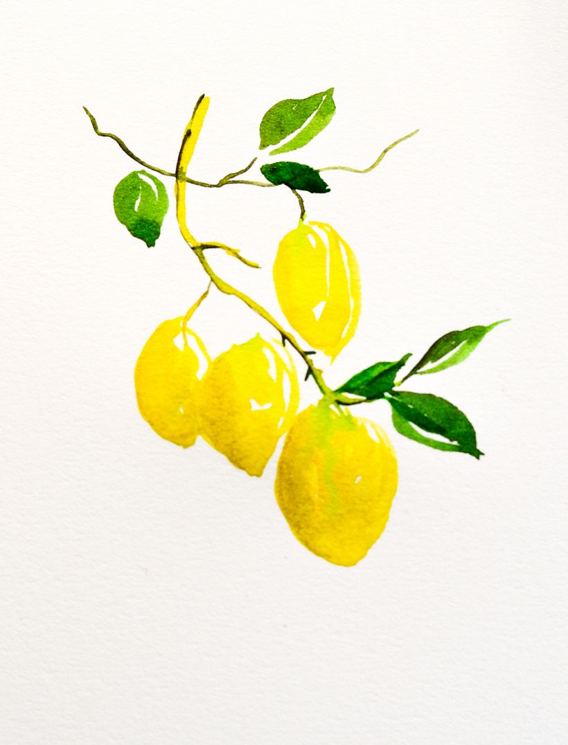 Watercolor & Ink Work 1