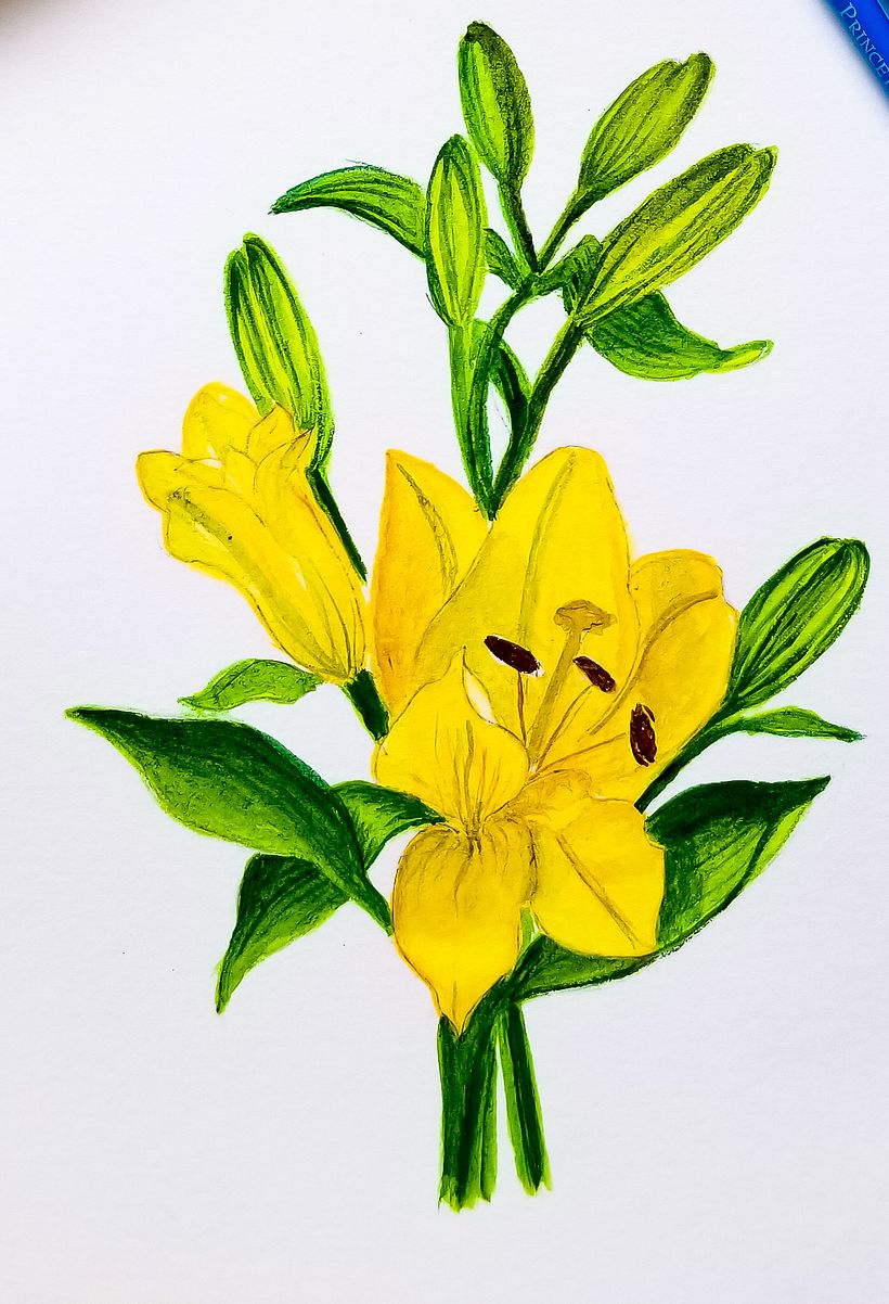 Watercolor & Ink Work 7