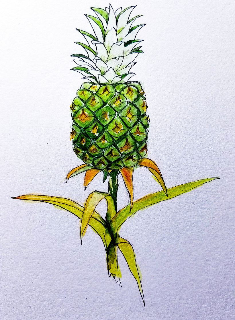 Watercolor & Ink Work 8