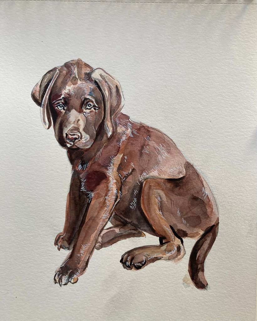 My project in Experimental Watercolor Techniques for Beginners course 9