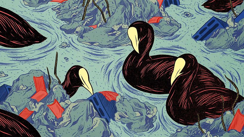 Illustrations presse VERS BETON 2