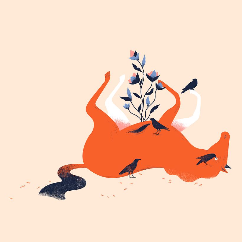 Transformaciones - Ilustración tradicional