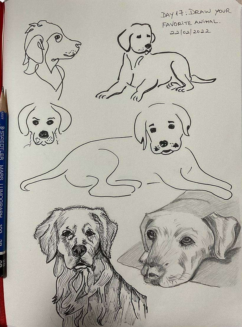 My project for course: Daily Sketching for Creative Inspiration 16