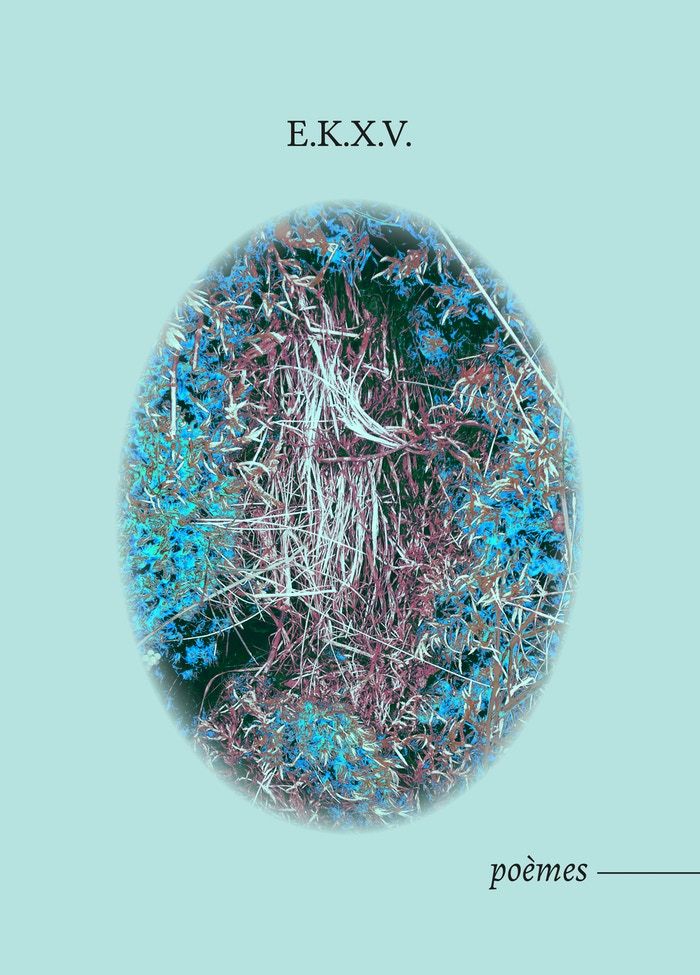 Cover illustration of the poetry collection of Xavier Schmidt 1