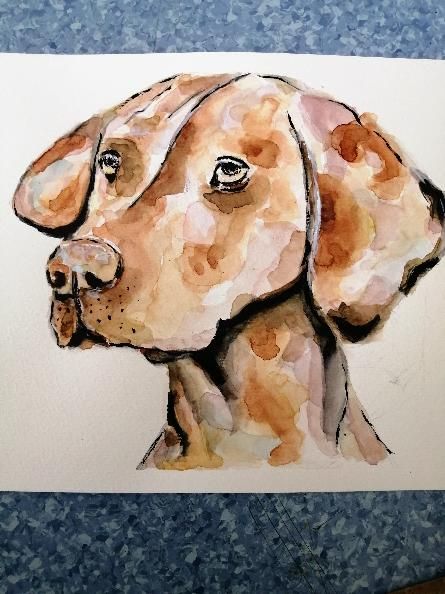 My project for course: Watercolor Techniques for Dreamlike Illustrations 4