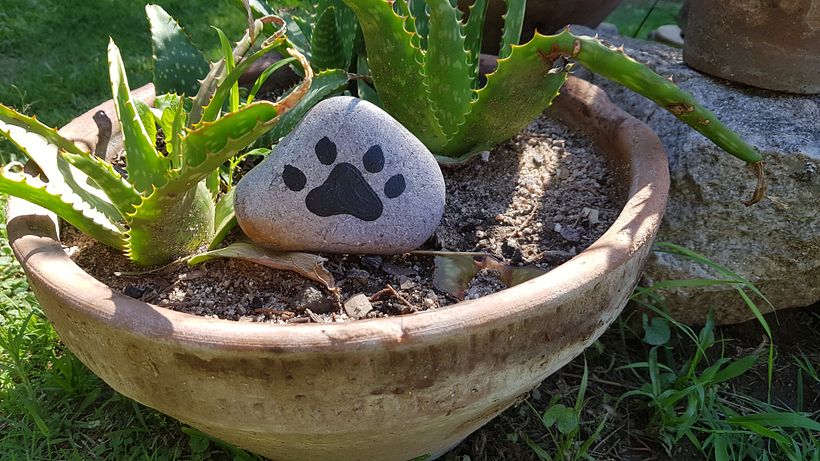 Piedras decorativas 3