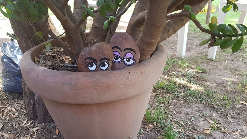 Piedras decorativas 6