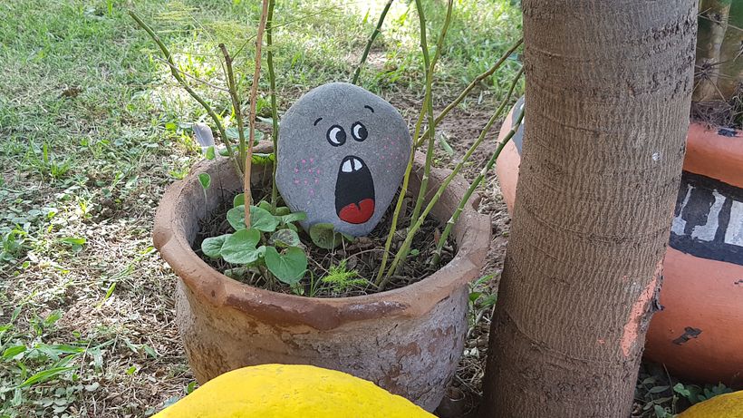 Piedras decorativas 7