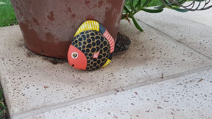 Piedras decorativas 8