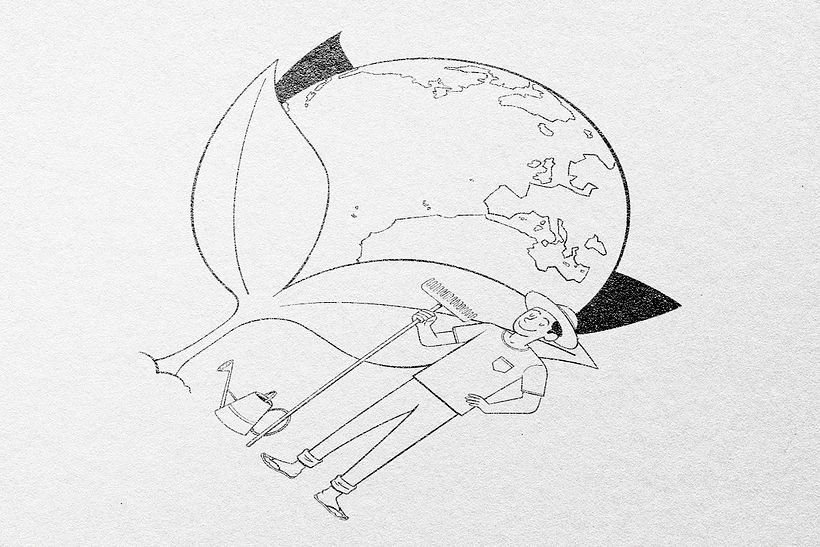 Ilustraciones Nouca 5