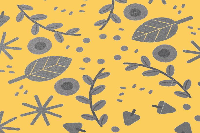 Pattern Saponaria 2