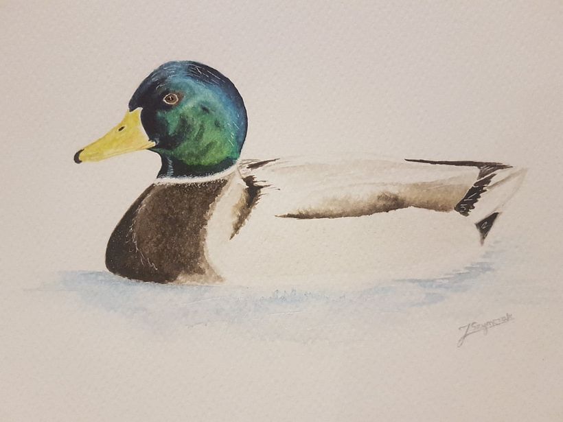 Duck 2