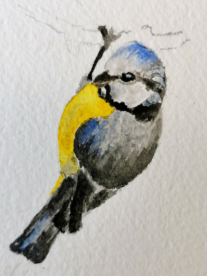 Mein Kursprojekt: Illustriere Vögel mit expressiven Aquarelltechniken 5
