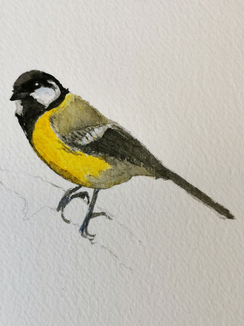 Mein Kursprojekt: Illustriere Vögel mit expressiven Aquarelltechniken 6