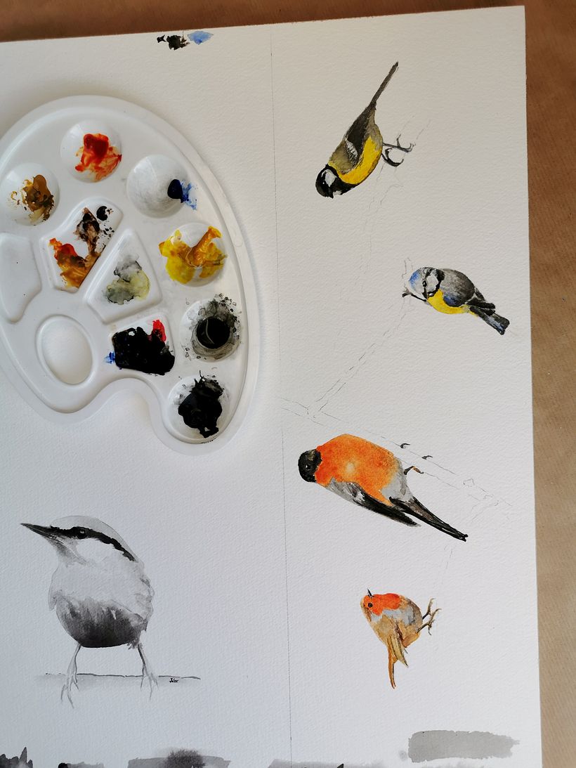 Mein Kursprojekt: Illustriere Vögel mit expressiven Aquarelltechniken 7