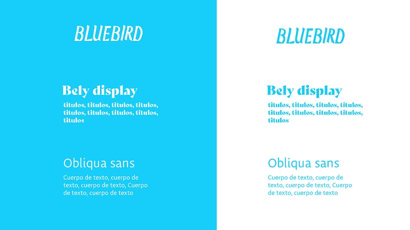 Mi Proyecto del curso: Branding tipográfico: crea logotipos memorables desde cero 6