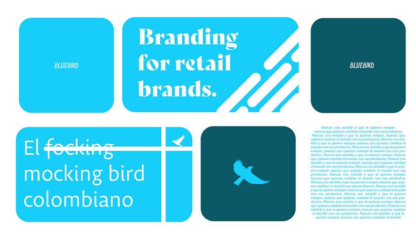 Mi Proyecto del curso: Branding tipográfico: crea logotipos memorables desde cero 7