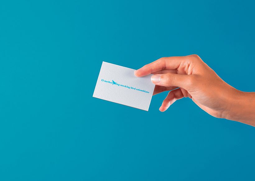 Mi Proyecto del curso: Branding tipográfico: crea logotipos memorables desde cero 10