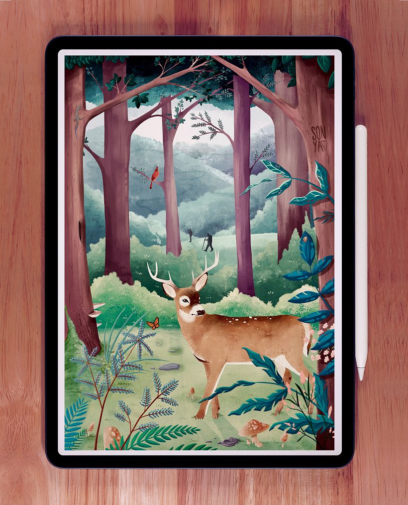 Final Illustration