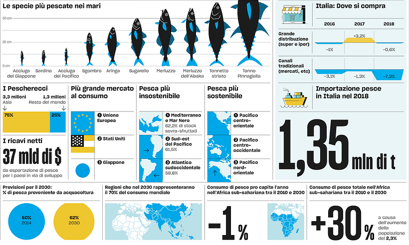 Fish World, LIVE magazine 5