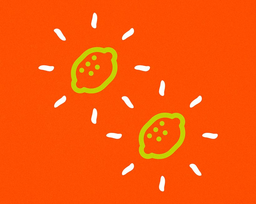 Zuur Gin • Identidade e Embalagem 11