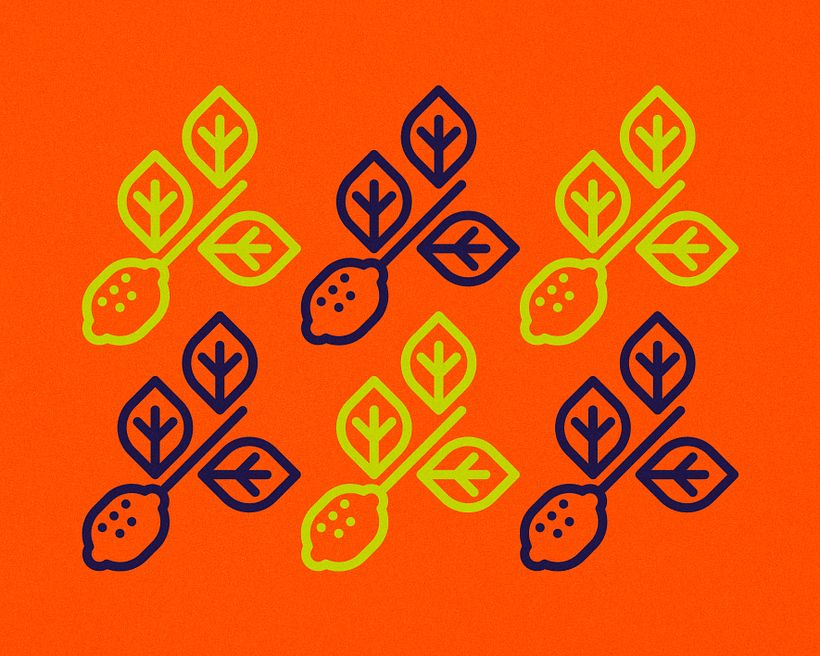 Zuur Gin • Identidade e Embalagem 12