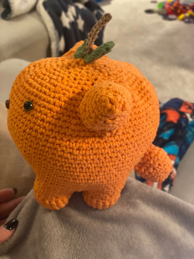 Meu projeto do curso: Amigurumi: criação de personagens com crochê 2