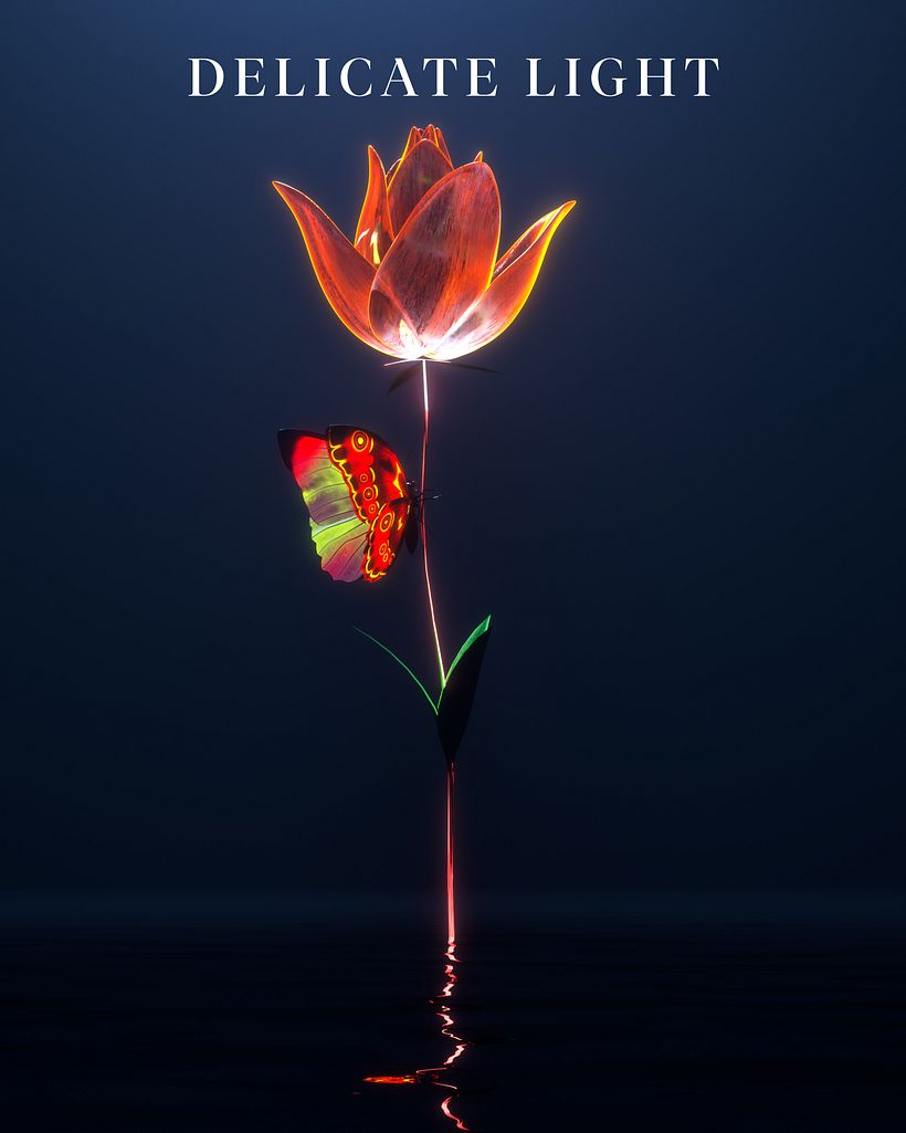 Meus projetos experimentais 3