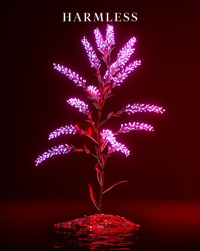 Meus projetos experimentais 14