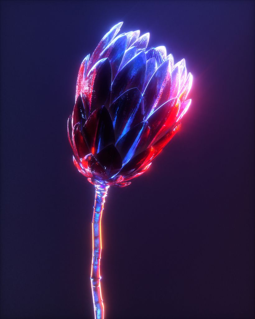 Meus projetos experimentais 18