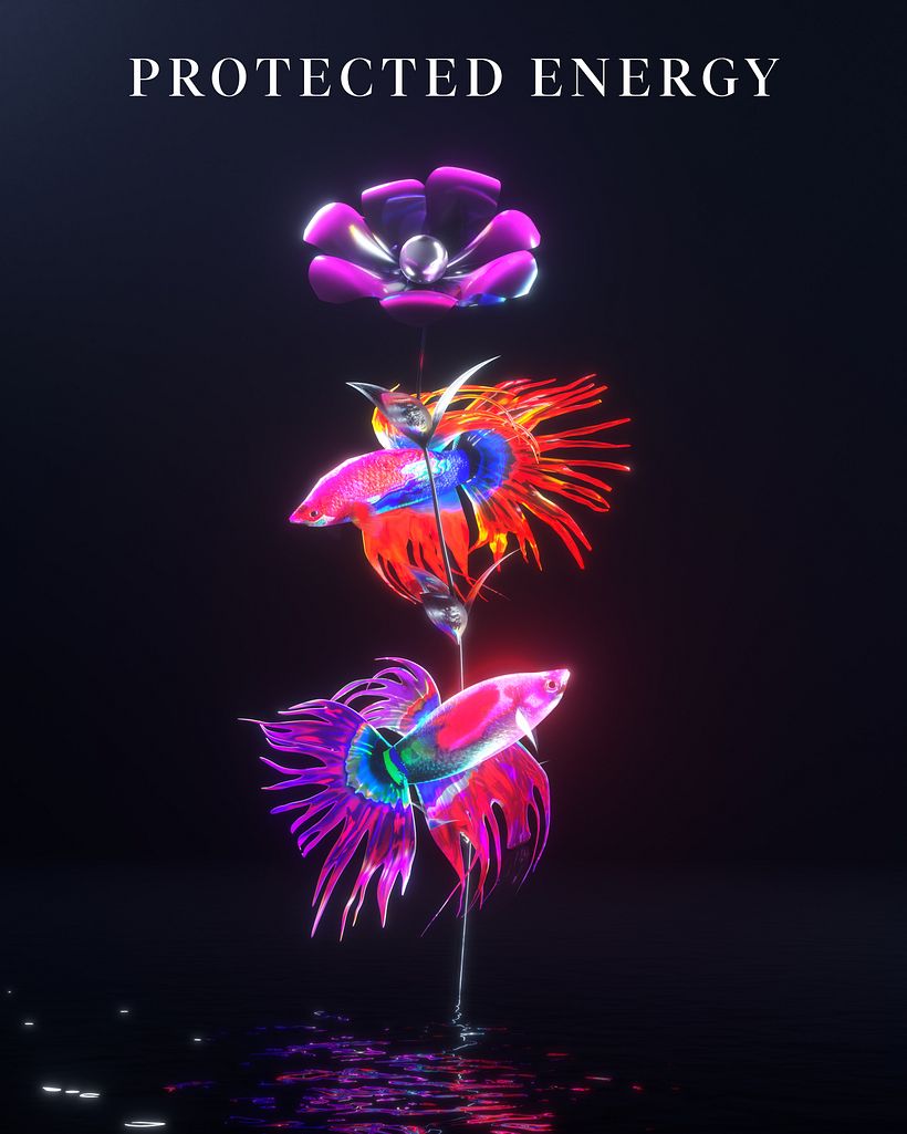 Meus projetos experimentais 12