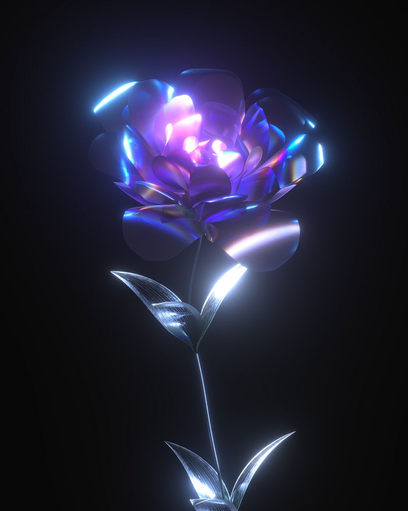 Meus projetos experimentais 13