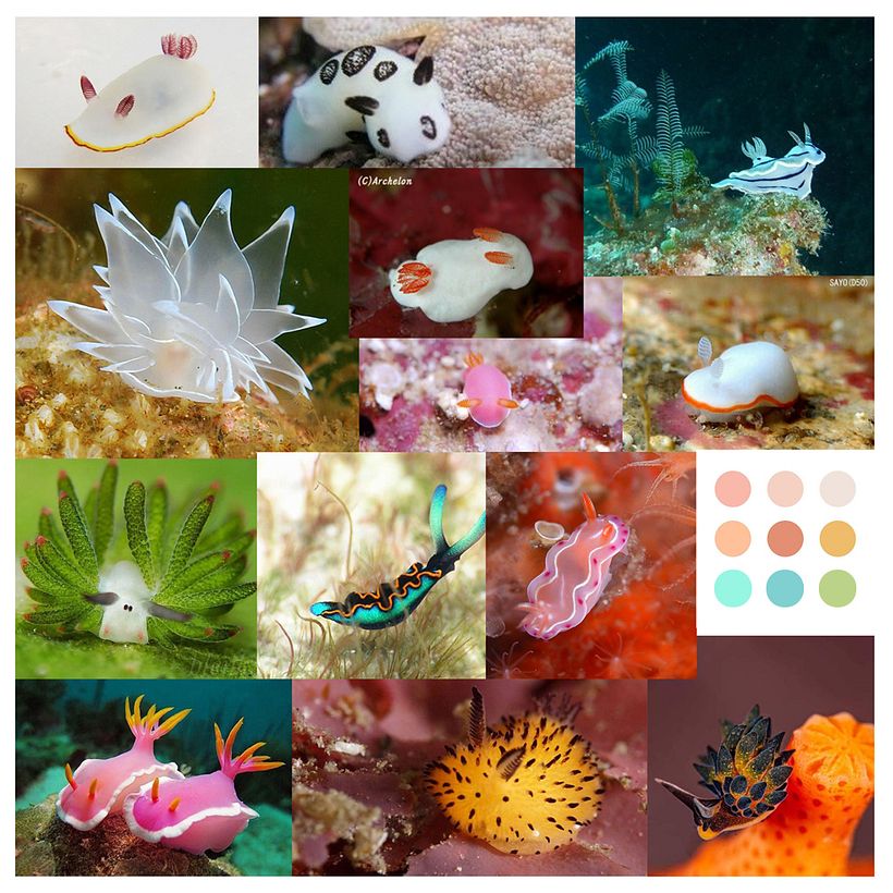 Sea Bunnies Mood Board