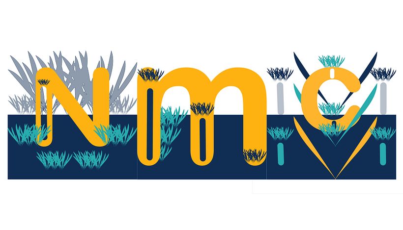 My project for course: Professional Illustration: Turn Your Passion into a Career 1