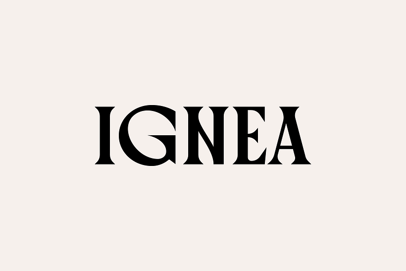 IGNEA 1