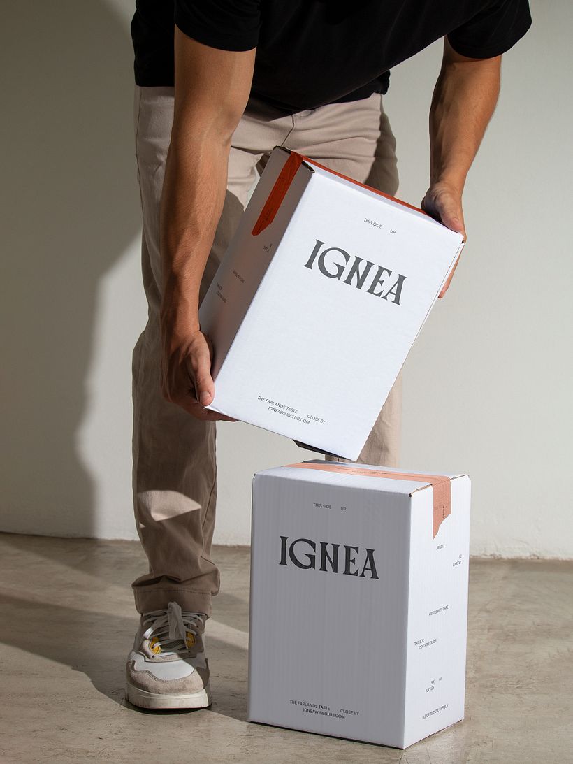 IGNEA 11