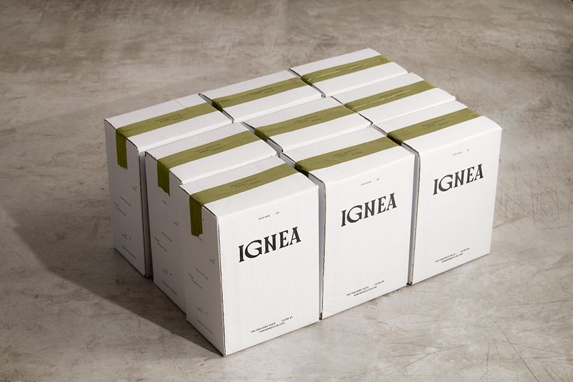 IGNEA 15