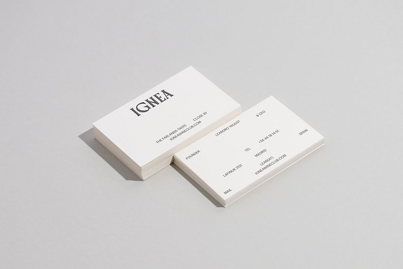 IGNEA 6