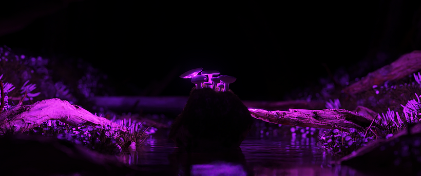 Render apenas dos reflexos da cena