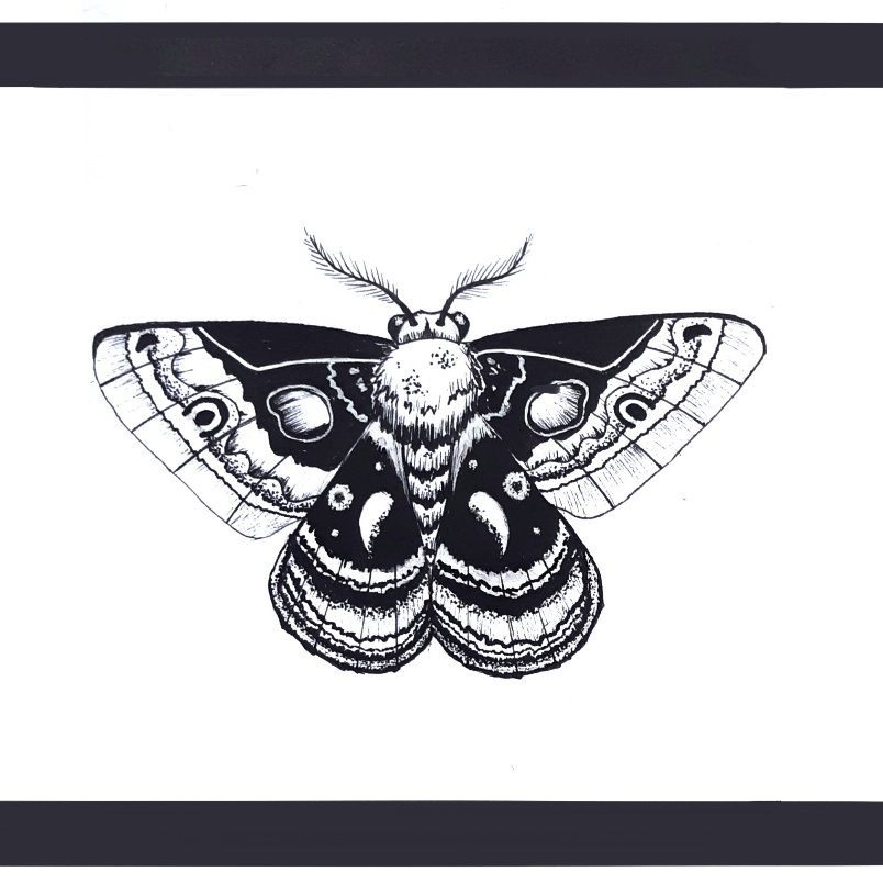 Portfolio 9