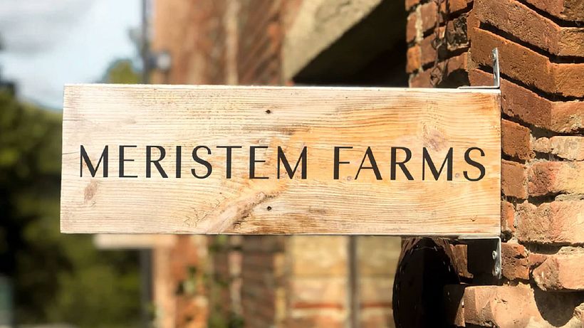 Meristem Farms 3