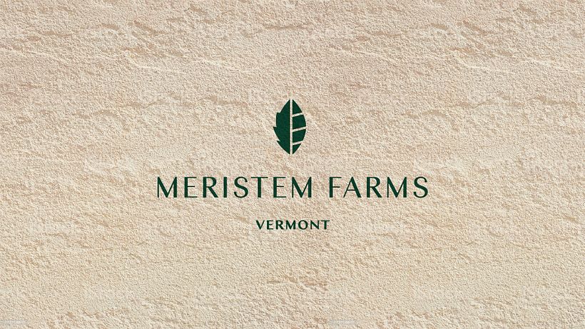 Meristem Farms 4